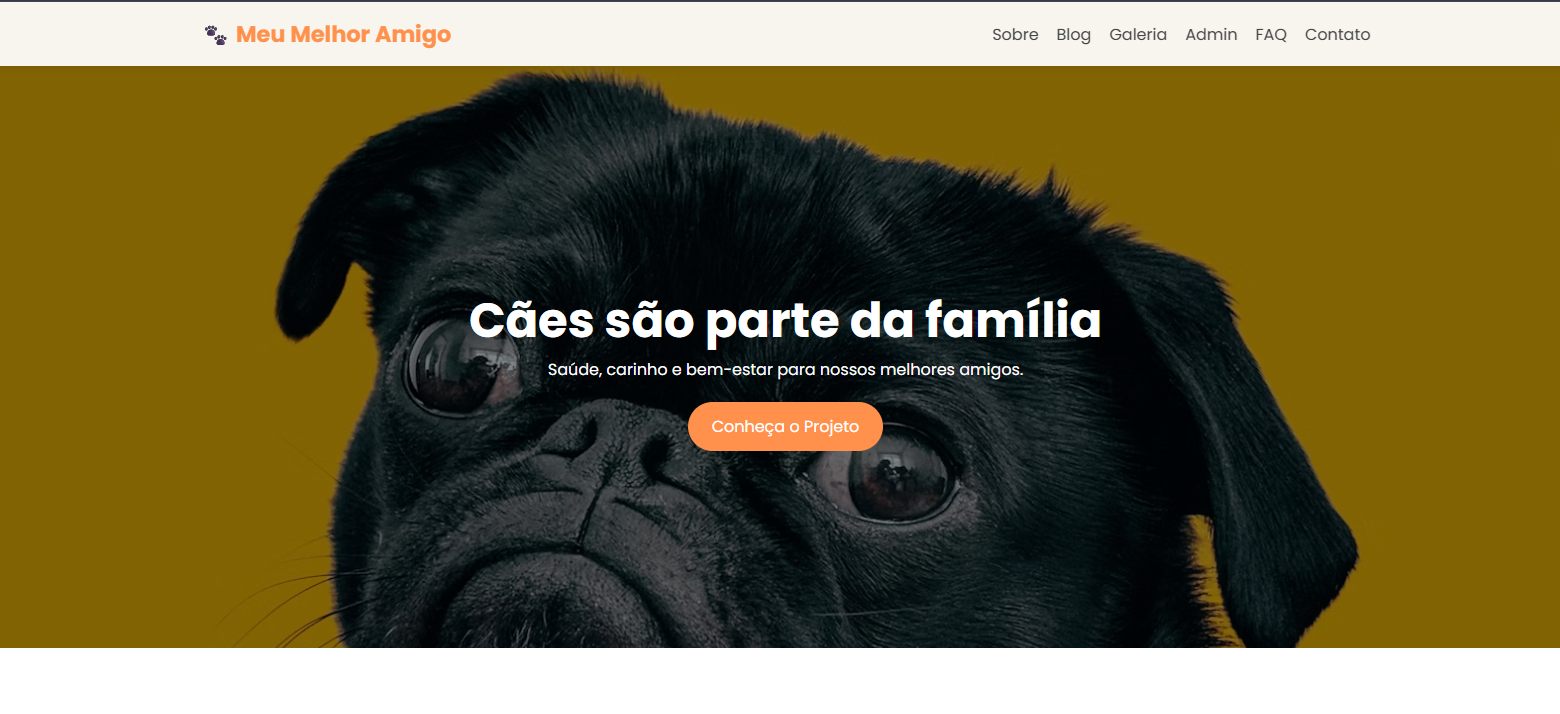 Screenshot do Projeto 9